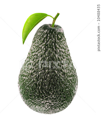 Avocado Avocado 10488435