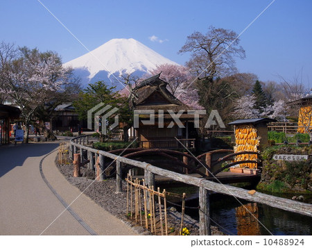 忍野 10488924