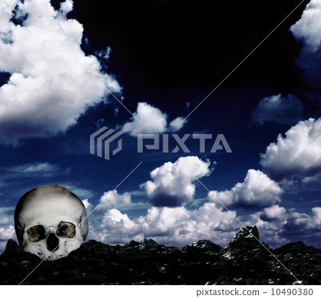 Skull on the ground 10490380