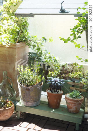 Gardening image bright garden Gardening image bright garden 10492235