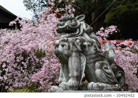 Lion of Kenshin Shrine 10492482