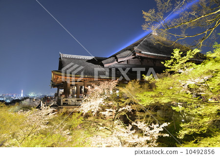清水寺,春天亮起 清水寺,春天亮起 10492856
