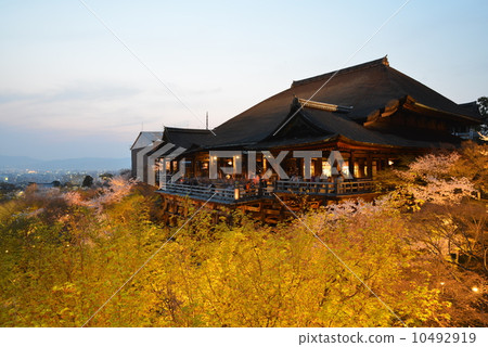 Kiyomizudera櫻桃 Kiyomizudera櫻桃 10492919