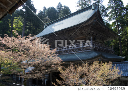 The mountain gate of Eiheiji 10492989