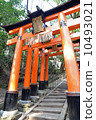 Torii of Fushimi-Inari Taisha Shrine 10493021