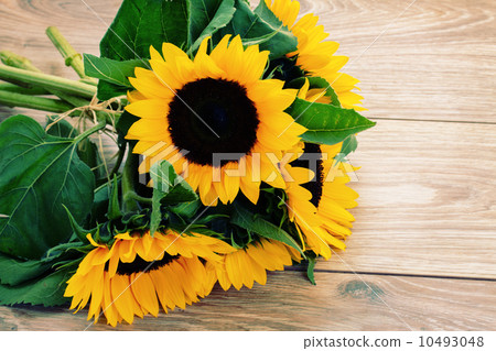 fresh bouquet of sunflowers close up 10493048