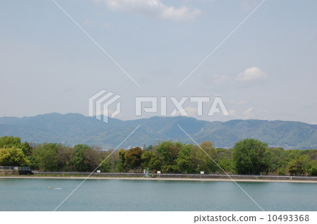 Ko yo池塘 10493368