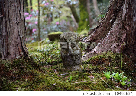 Jizo in the Sanzenin Collection Jizo in the Sanzenin Collection 10493634