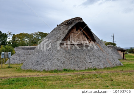 Sannai Maruyama遺址 10493706
