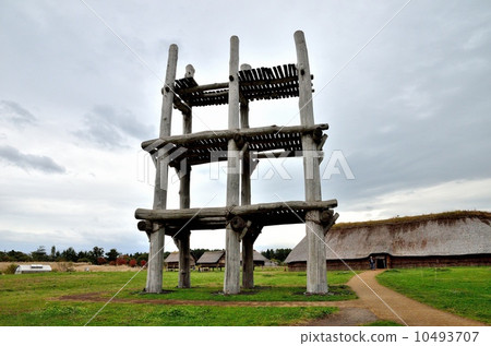 Sannai Maruyama遺址 10493707