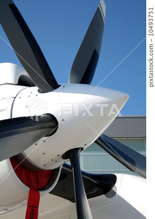 Engine propeller aircraft and five lobes Engine propeller aircraft and five lobes 10493751