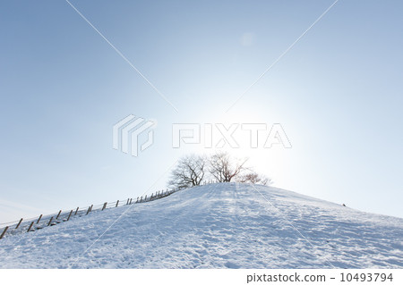 Winter scenery Winter scenery 10493794
