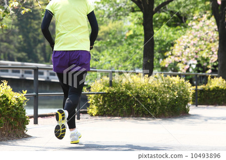 Image of the jogging marathon (Imperial Ran) Image of the jogging marathon (Imperial Ran) 10493896