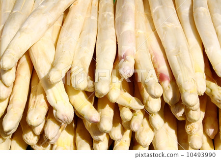 Purple Asparagus on the stall 10493990