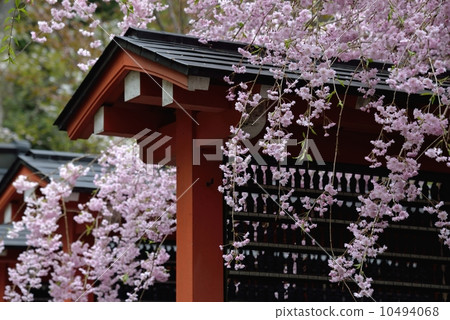 Spring Sanzenin 10494068
