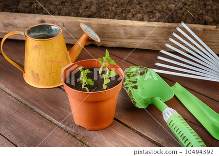 Gardening tools Gardening tools 10494392