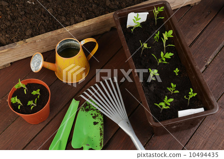 Gardening tools 10494435