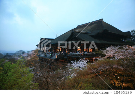 Cherry blossoms in Kiyomizu Temple 10495189