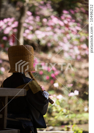 Nara Murooji Temple Kamusa (Komusu) and Kusakana Nara Murooji Temple Kamusa (Komusu) and Kusakana 10496252