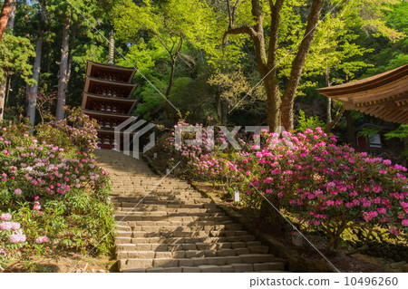 奈良Muroumi-ji寺五層塔和Ishikusaka（左側的側面位置） 10496260