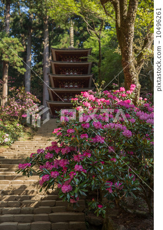 奈良Muroumi-ji寺五層塔和Ishikusaka（垂直位置右側/焦點前方） 10496261