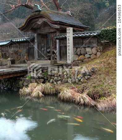 Asakura ruins of early spring Karumen Asakura ruins of early spring Karumen 10496853