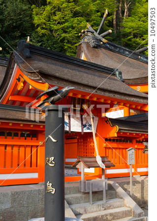 Kumano Nachi Taisha 10497503
