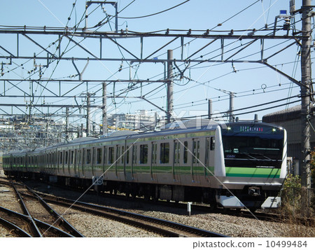 Yokohama Line E233 Series Higashi Kanagawa Station 10499484