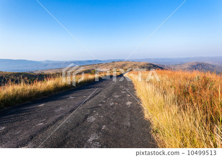 Wilderness Morning Road Rugged Terrain 10499513