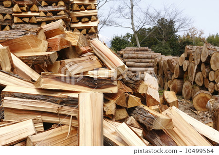 Firewood 10499564