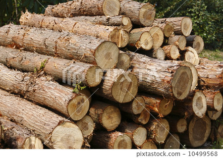 A log 10499568