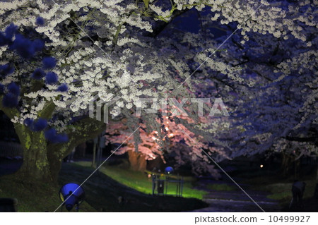 Kanonji River Kanonji River 10499927