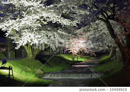 Kanonji River Kanonji River 10499928