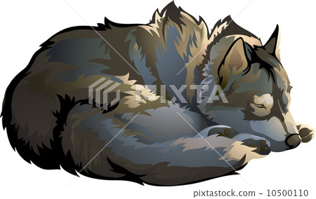 sleeping wolf 10500110
