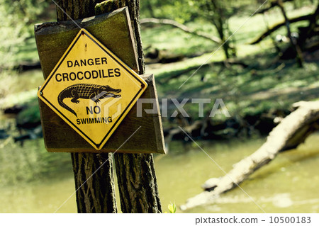 Danger crocodiles, no swimming 10500183