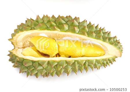 Fresh Durian isolated 10500253