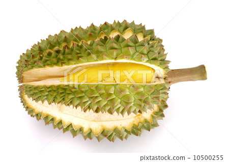 Fresh Durian isolated 10500255