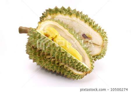 Fresh Durian isolated 10500274