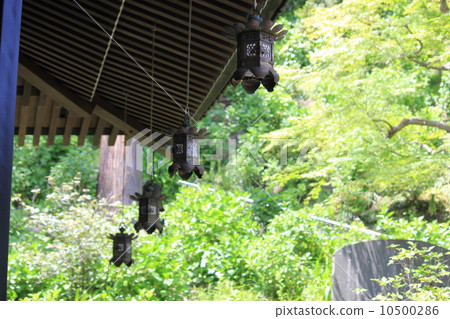 燈籠和綠色 燈籠和綠色 10500286
