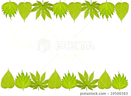 Wakafu frame 10500383