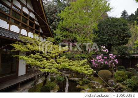 Tsurugame garden of Hohsenin 10500388