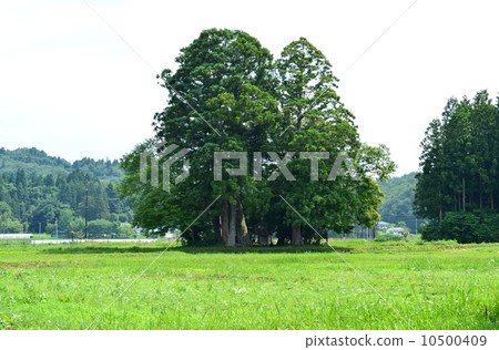 Scenery with a shrine 10500409