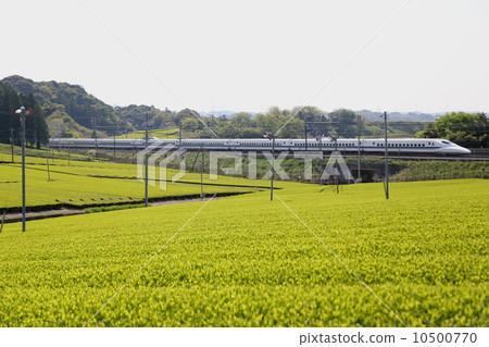 700 series Shinkansen going over the tea plantation 700 series Shinkansen going over the tea plantation 10500770