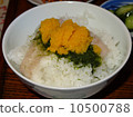 Raw noodles on rice 10500788