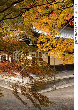 Nanzenji Hall Nanzenji Hall 10501521
