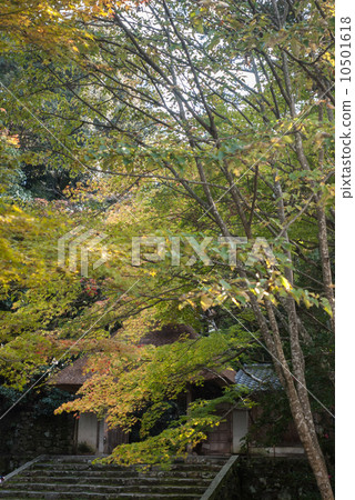 Honen-in gate Honen-in gate 10501618