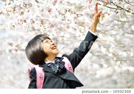 New freshman first girl (cherry blossoms) New freshman first girl (cherry blossoms) 10502308