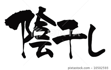 drying in the shade 10502593