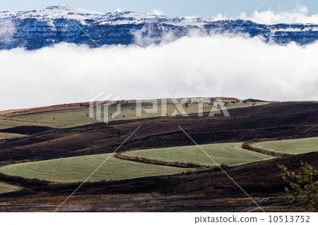 Mountains Snow Mist Cattle Wilderness 10513752