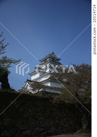 會津若松城(敦賀城堡) 會津若松城(敦賀城堡) 10514714